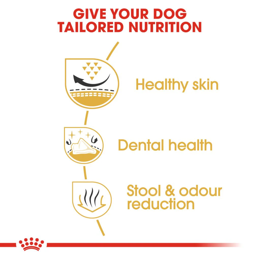 Royal Canin Shih Tzu Adult 1.5kg - Image 2