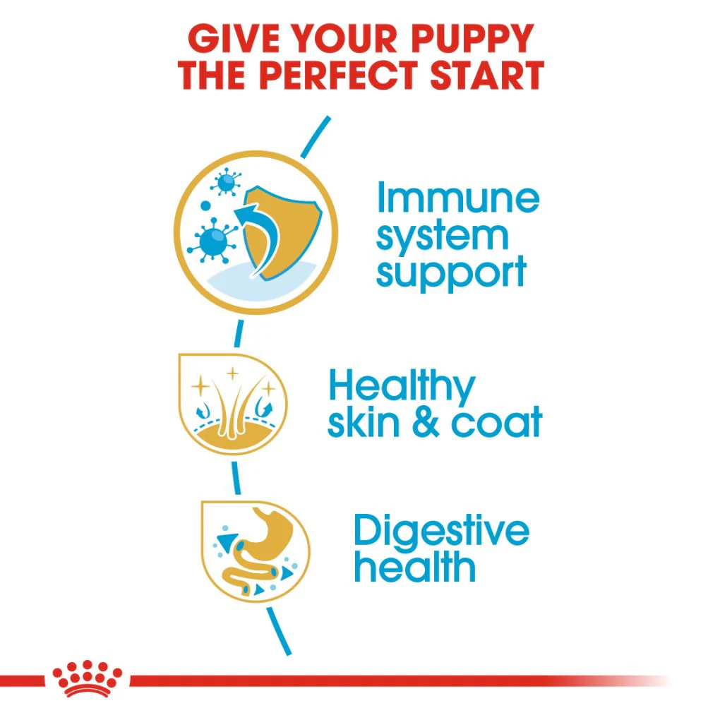 Royal Canin Shih Tzu Puppy 1.5kg - Image 2