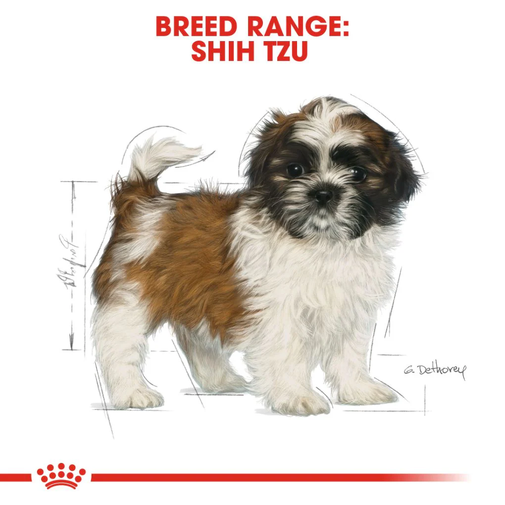 Royal Canin Shih Tzu Puppy 1.5kg - Image 4