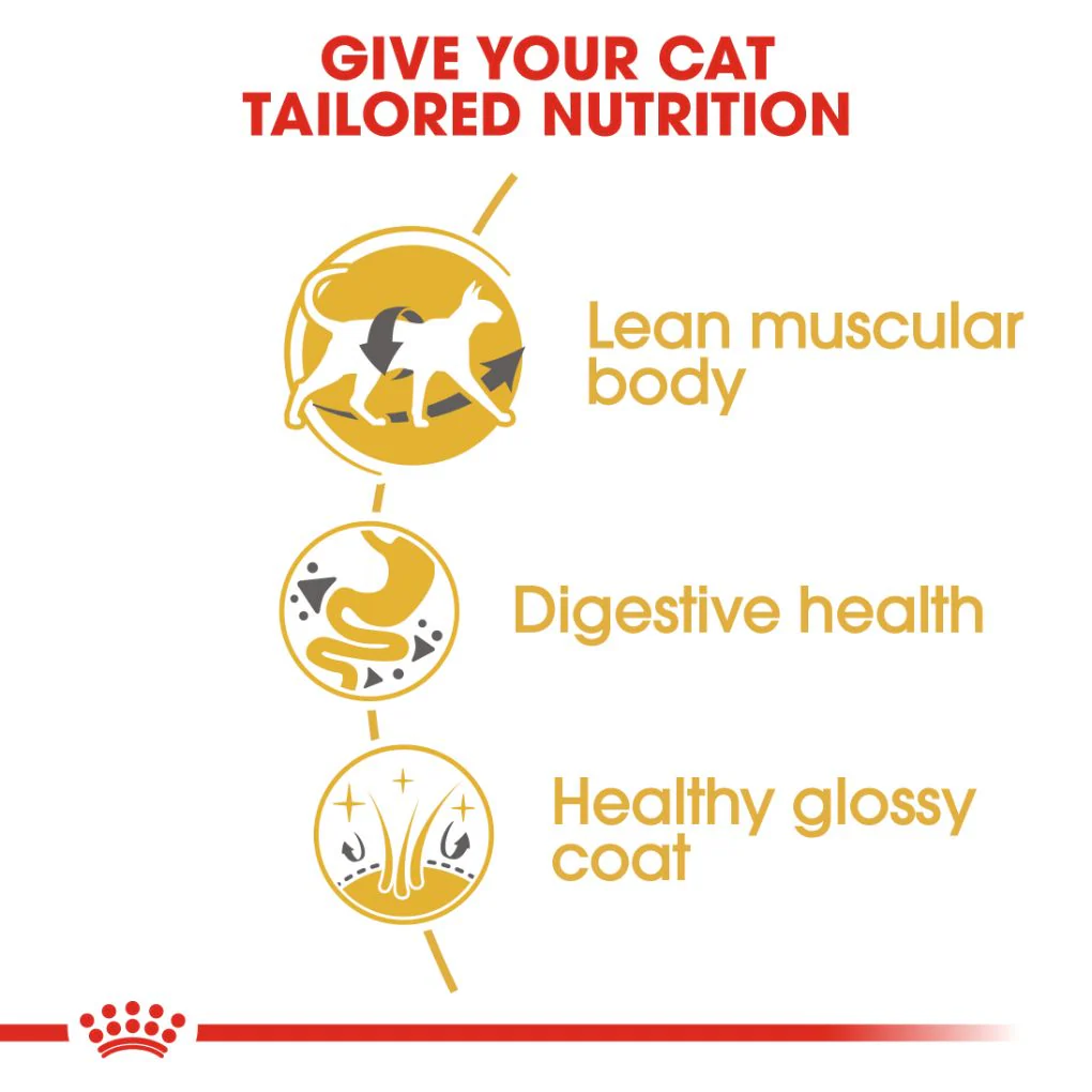 Royal Canin Siamese - Image 2