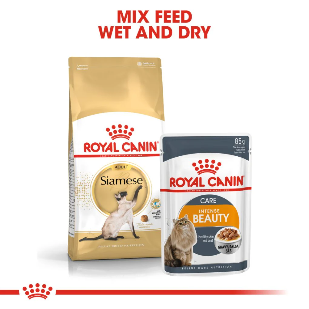 Royal Canin Siamese - Image 4
