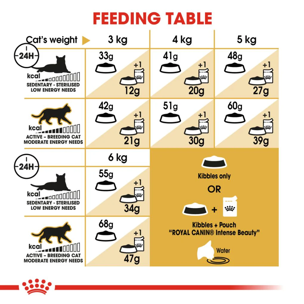 Royal Canin Siamese - Image 5