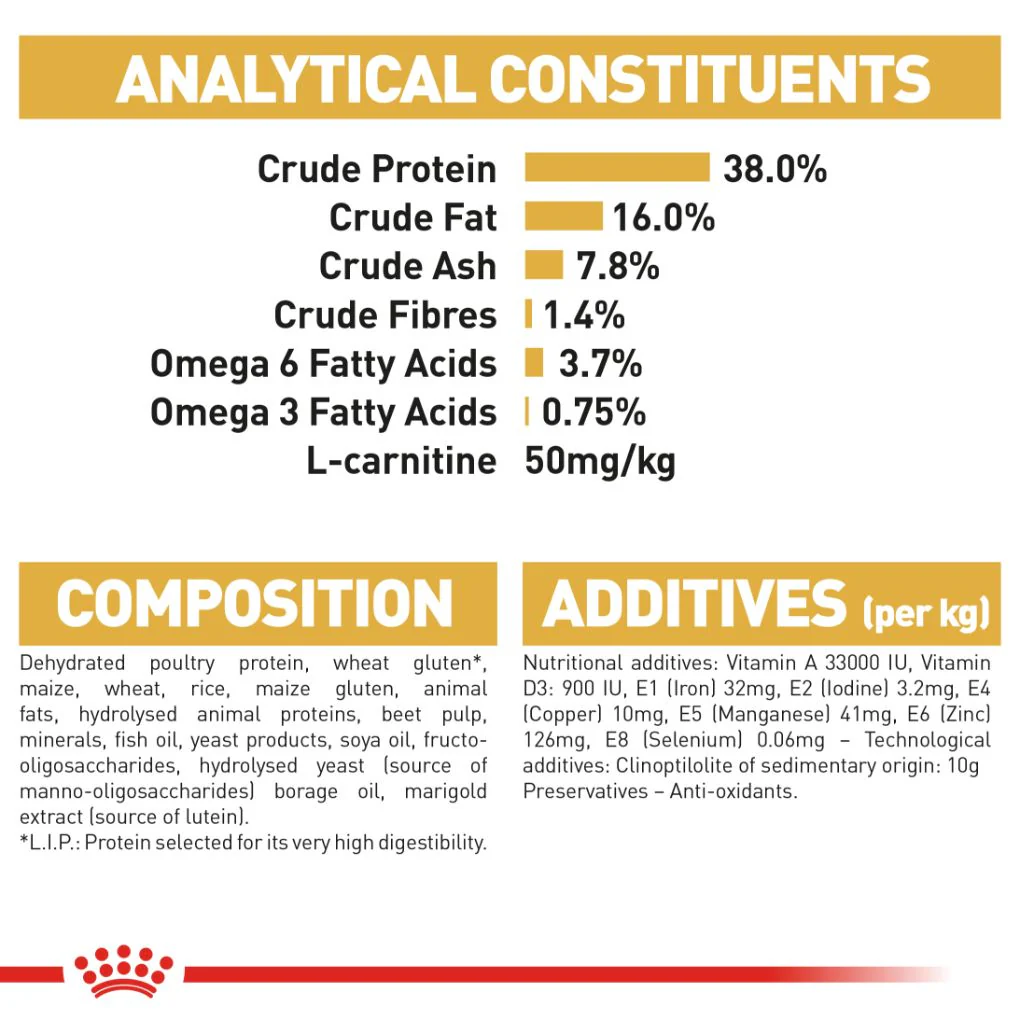 Royal Canin Siamese - Image 6