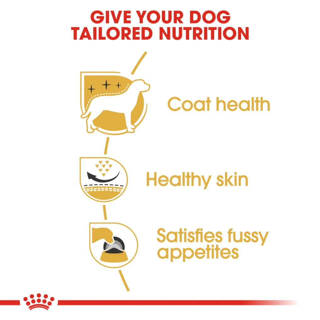Royal Canin West Highland White Terrier 3kg - Image 2