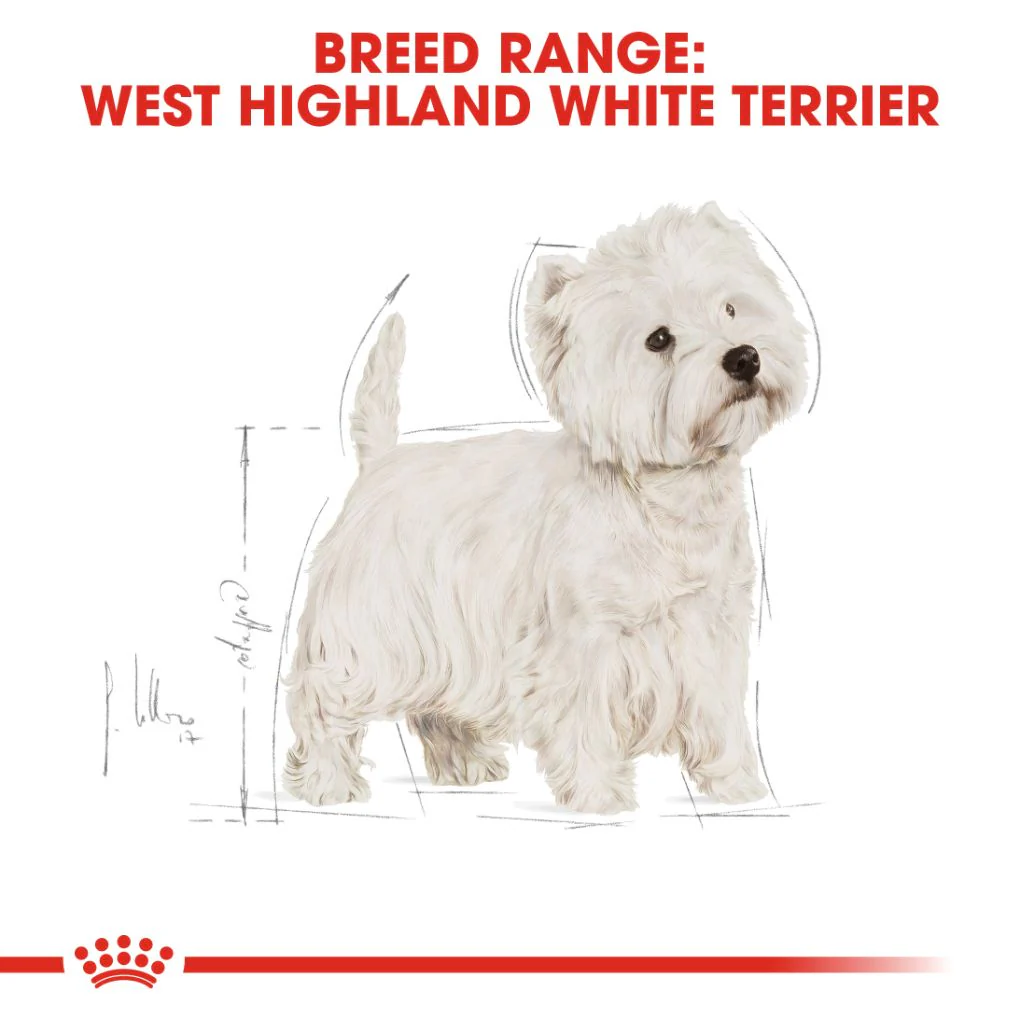 Royal Canin West Highland White Terrier 3kg - Image 4