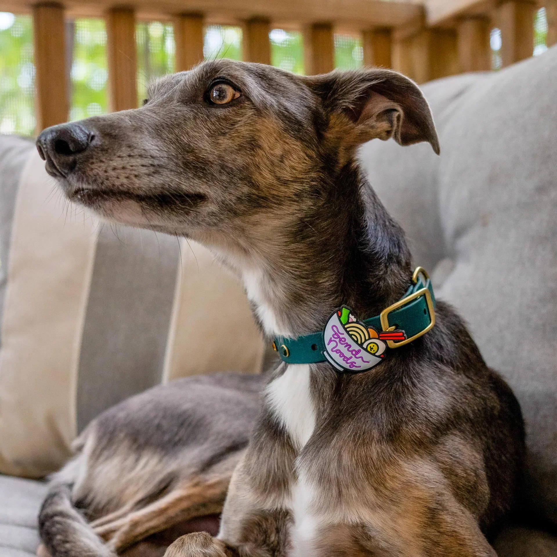 Send Noods Jiby Dog Charm - Image 2