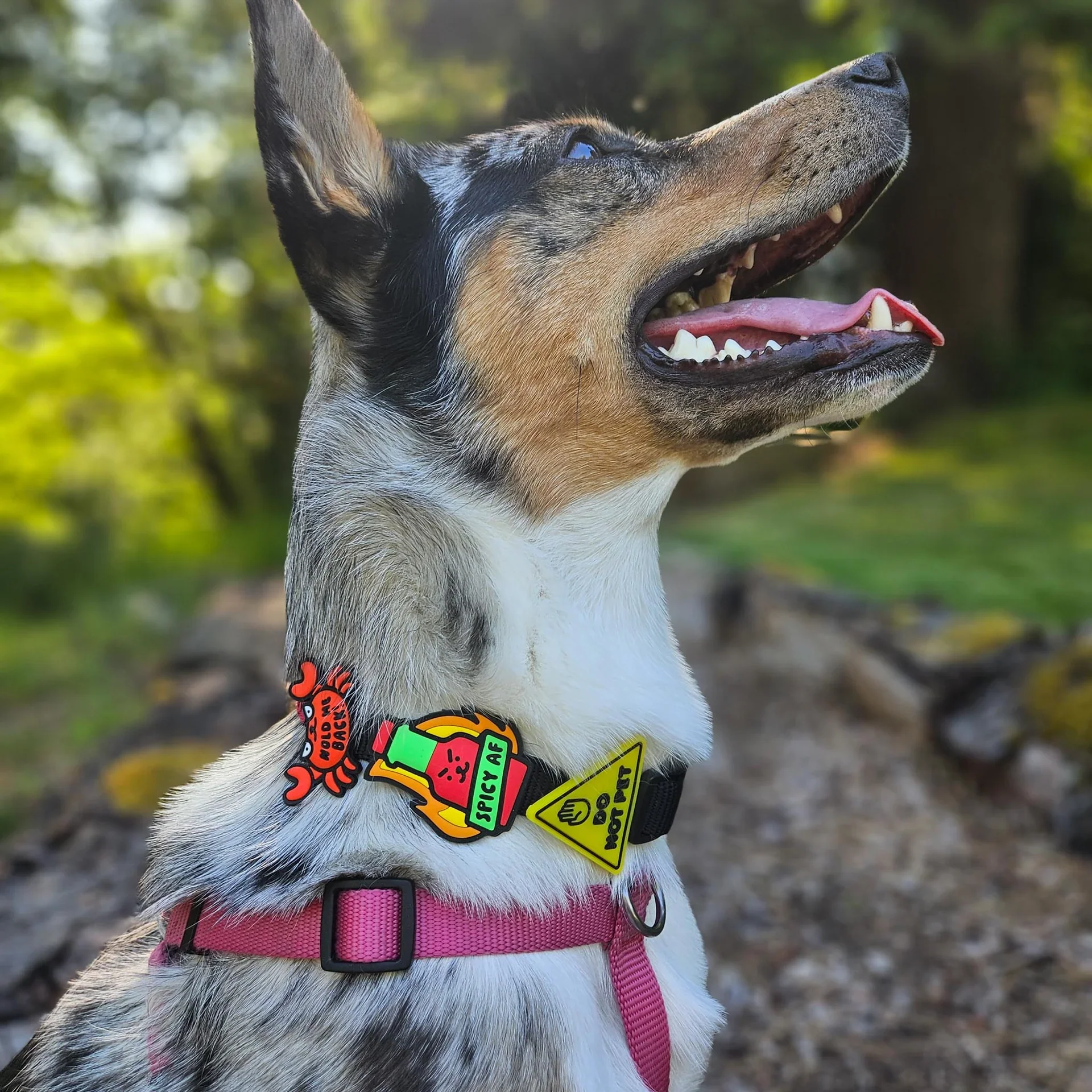 Spicy AF Jiby Dog Charm - Image 2