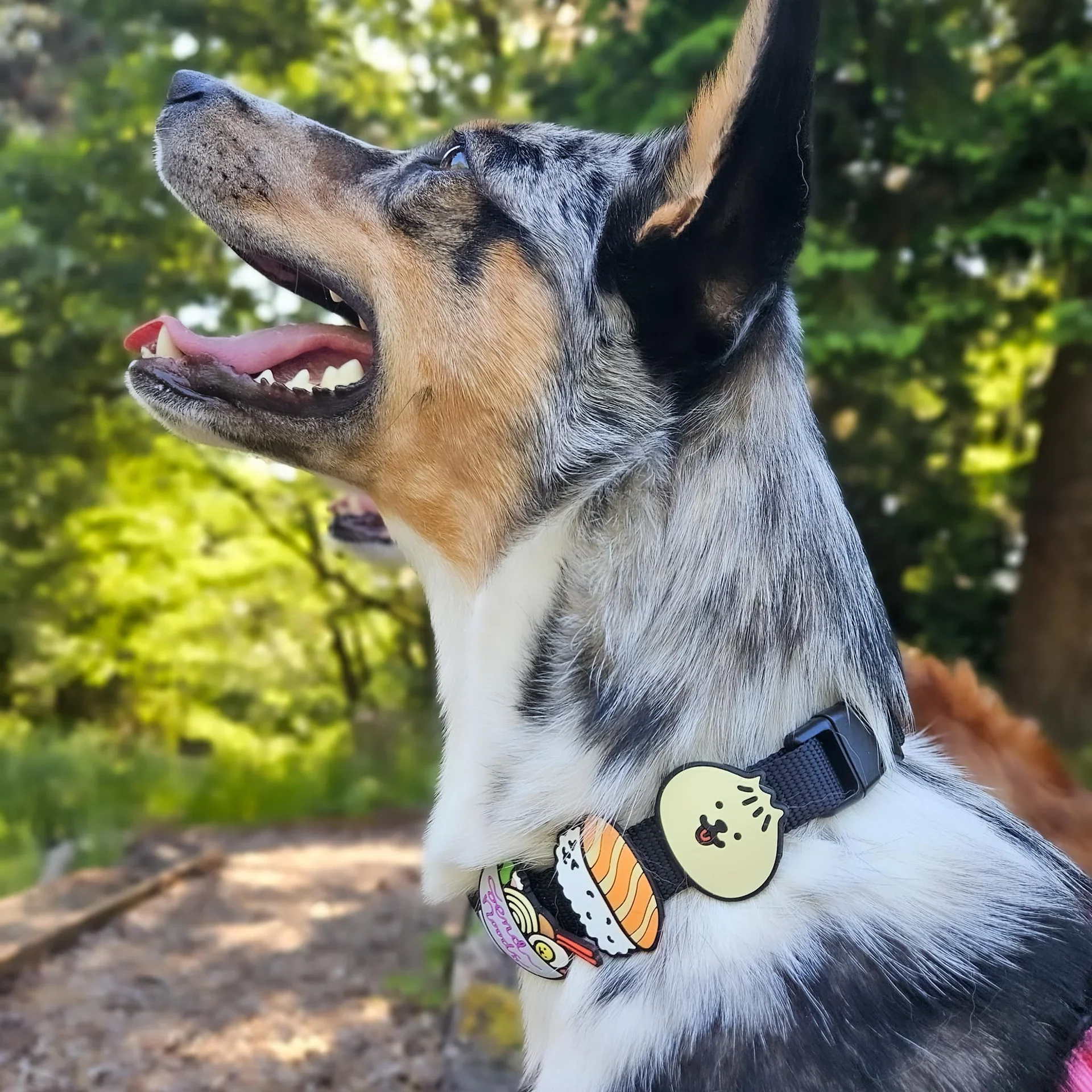 Sushi Jiby Dog Charm - Image 2