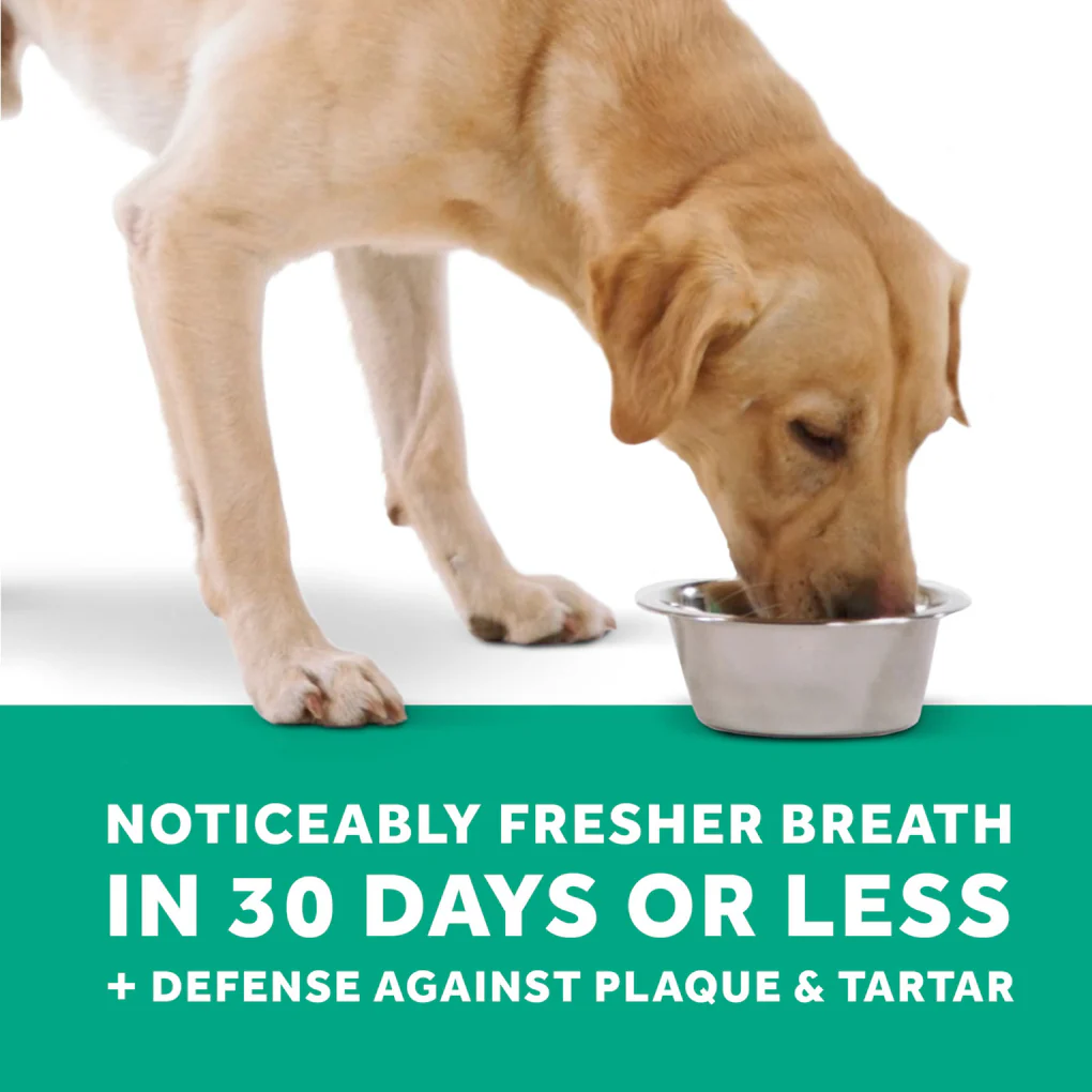 Tropiclean Fresh Breath Water Additive Dog 473ml - Image 3